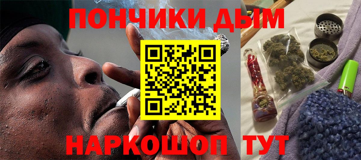 Конопля сатива Печора